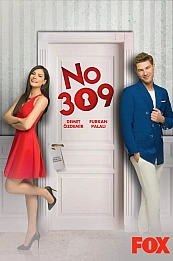 Номер 309 постер