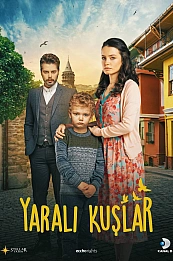 Раненые птицы постер