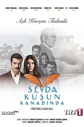 Любовь на крыльях птицы постер