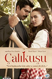 Королёк — птичка певчая постер