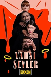 Дикие штучки постер