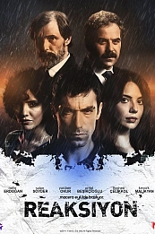 Реакция постер