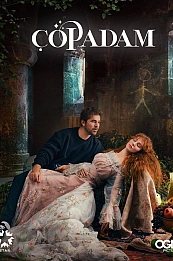 Крупье постер