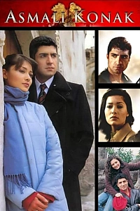 Особняк с виноградными лозами постер