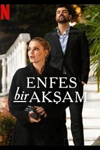 Восхитительный вечер постер