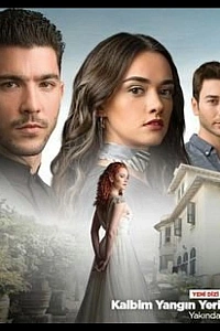 Огонь в моем сердце постер