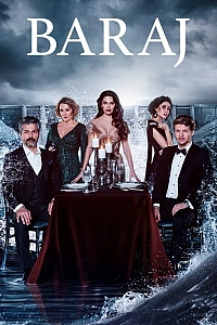 Плотина постер
