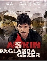 Любовь бродит по горам постер